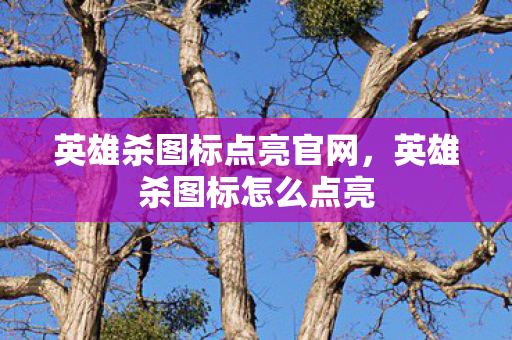 英雄杀图标点亮官网,英雄杀图标怎么点亮 英雄杀图标点亮官网,英雄杀图标怎么点亮