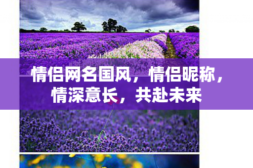 情侣网名国风，情侣昵称，情深意长，共赴未来