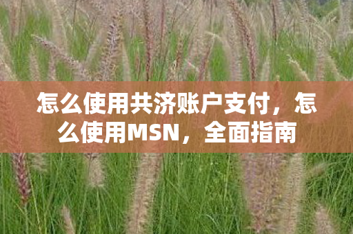 怎么使用共济账户支付，怎么使用MSN，全面指南