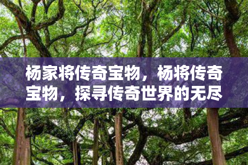 杨家将传奇宝物，杨将传奇宝物，探寻传奇世界的无尽宝藏