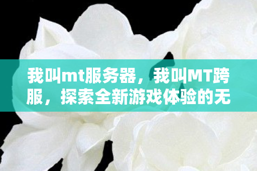 我叫mt服务器,我叫MT跨服,探索全新游戏体验的无限可能 我叫mt服务器,我叫MT跨服,探索全新游戏体验的无限可能