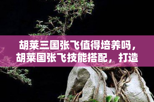 胡莱三国张飞值得培养吗，胡莱国张飞技能搭配，打造最强战将的攻略指南