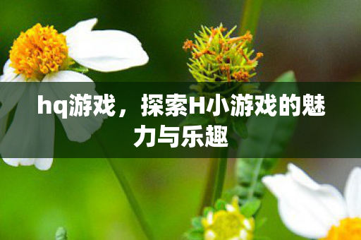 hq游戏,探索H小游戏的魅力与乐趣 hq游戏,探索H小游戏的魅力与乐趣