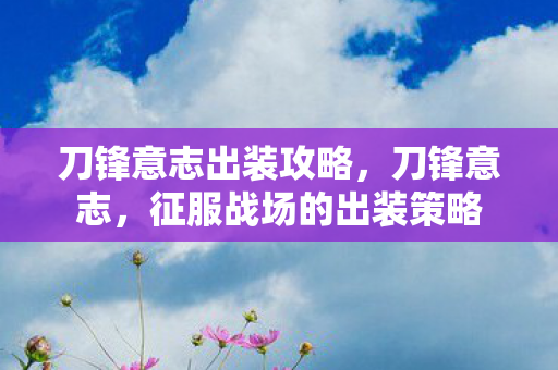 刀锋意志出装攻略，刀锋意志，征服战场的出装策略