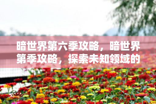 暗世界第六季攻略,暗世界第季攻略,探索未知领域的策略与技巧 暗世界第六季攻略,暗世界第季攻略,探索未知领域的策略与技巧