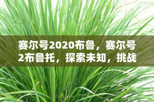 赛尔号2020布鲁，赛尔号2布鲁托，探索未知，挑战极限