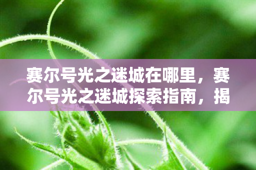 赛尔号光之迷城在哪里，赛尔号光之迷城探索指南，揭秘游戏神秘地点