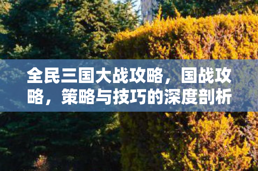 全民三国大战攻略，国战攻略，策略与技巧的深度剖析