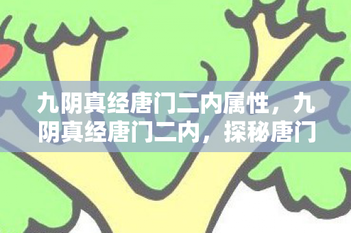 九阴真经唐门二内属性，九阴真经唐门二内，探秘唐门秘技，领略武侠精髓