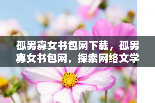 孤男寡女书包网下载，孤男寡女书包网，探索网络文学的另一面