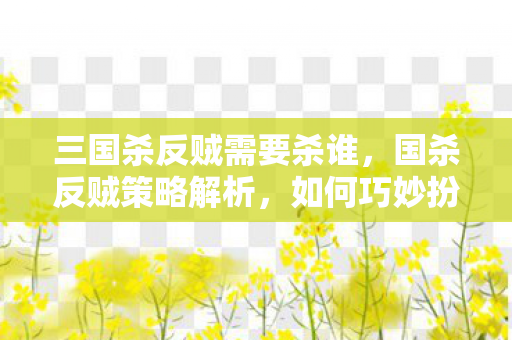 三国杀反贼需要杀谁，国杀反贼策略解析，如何巧妙扮演反贼角色