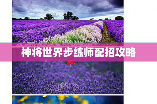 神将世界步练师配招攻略 神将世界步练师配招攻略
