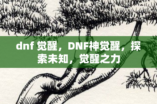 dnf 觉醒，DNF神觉醒，探索未知，觉醒之力