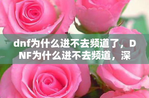 dnf为什么进不去频道了,DNF为什么进不去频道,深度解析与解决方案 dnf为什么进不去频道了,DNF为什么进不去频道,深度解析与解决方案