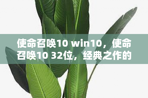 使命召唤10 win10,使命召唤10 32位,经典之作的怀旧体验 使命召唤10 win10,使命召唤10 32位,经典之作的怀旧体验