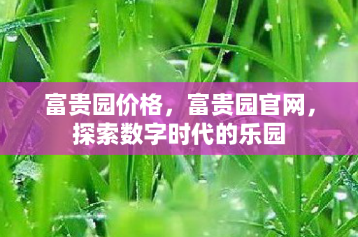 富贵园价格,富贵园官网,探索数字时代的乐园 富贵园价格,富贵园官网,探索数字时代的乐园
