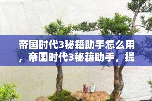 帝国时代3秘籍助手怎么用，帝国时代3秘籍助手，提升游戏乐趣的得力助手