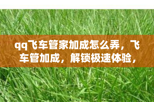 qq飞车管家加成怎么弄，飞车管加成，解锁极速体验，畅享无限可能