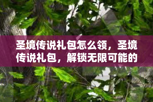 圣境传说礼包怎么领，圣境传说礼包，解锁无限可能的神秘钥匙