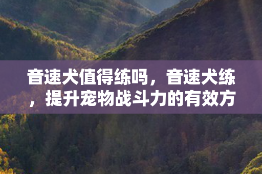 音速犬值得练吗,音速犬练,提升宠物战斗力的有效方法 音速犬值得练吗,音速犬练,提升宠物战斗力的有效方法