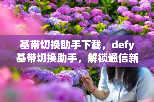 基带切换助手下载，defy基带切换助手，解锁通信新境界