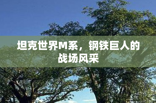 坦克世界M系，钢铁巨人的战场风采