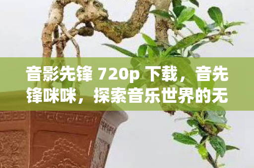 音影先锋 720p 下载，音先锋咪咪，探索音乐世界的无限可能