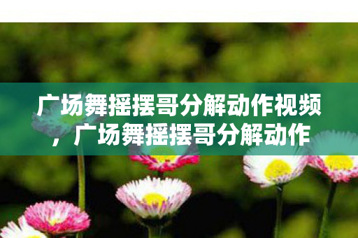 广场舞摇摆哥分解动作视频，广场舞摇摆哥分解动作