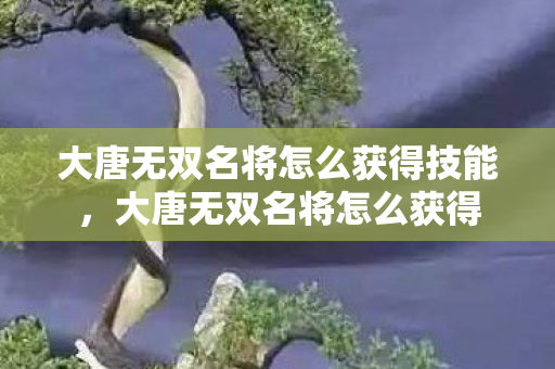 大唐无双名将怎么获得技能，大唐无双名将怎么获得