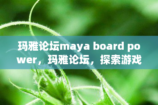 玛雅论坛maya board power，玛雅论坛，探索游戏世界的多元体验