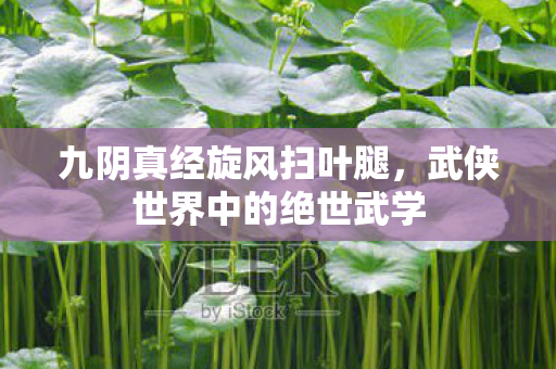九阴真经旋风扫叶腿，武侠世界中的绝世武学