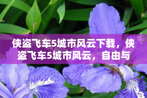 侠盗飞车5城市风云下载，侠盗飞车5城市风云，自由与正义的碰撞