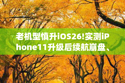 老机型慎升iOS26!实测iPhone11升级后续航崩盘、性,老机app,经典游戏的新生命 老机型慎升iOS26!实测iPhone11升级后续航崩盘、性,老机app,经典游戏的新生命