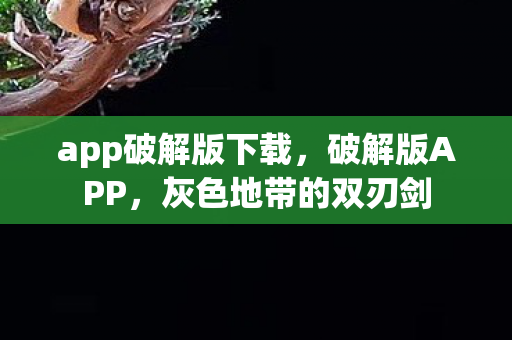 app破解版下载，破解版APP，灰色地带的双刃剑