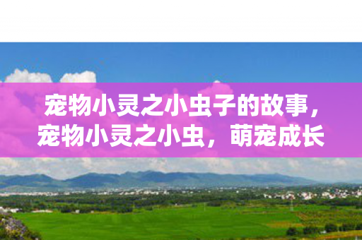 宠物小灵之小虫子的故事,宠物小灵之小虫,萌宠成长记 宠物小灵之小虫子的故事,宠物小灵之小虫,萌宠成长记