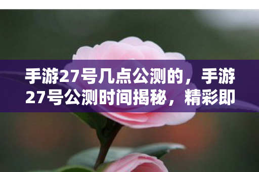 手游27号几点公测的，手游27号公测时间揭秘，精彩即将开启！