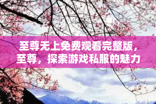 至尊无上免费观看完整版，至尊，探索游戏私服的魅力与风险