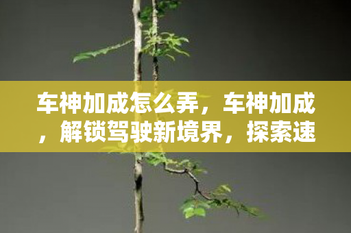 车神加成怎么弄，车神加成，解锁驾驶新境界，探索速度与激情的无限可能