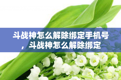 斗战神怎么解除绑定手机号，斗战神怎么解除绑定