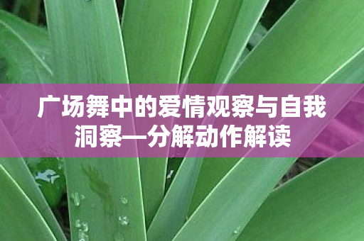 广场舞中的爱情观察与自我洞察—分解动作解读 广场舞中的爱情观察与自我洞察—分解动作解读