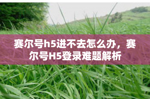 赛尔号h5进不去怎么办，赛尔号H5登录难题解析