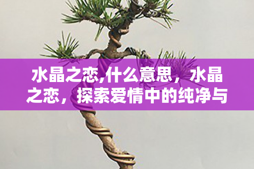 水晶之恋,什么意思,水晶之恋,探索爱情中的纯净与永恒 水晶之恋,什么意思,水晶之恋,探索爱情中的纯净与永恒