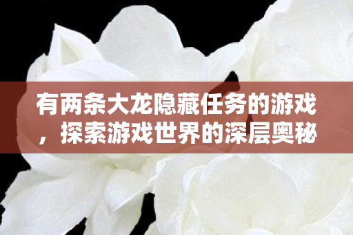 有两条大龙隐藏任务的游戏，探索游戏世界的深层奥秘，解锁大龙隐藏任务的奇幻之旅