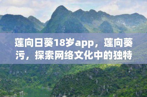 莲向日葵18岁app,莲向葵污,探索网络文化中的独特现象 莲向日葵18岁app,莲向葵污,探索网络文化中的独特现象
