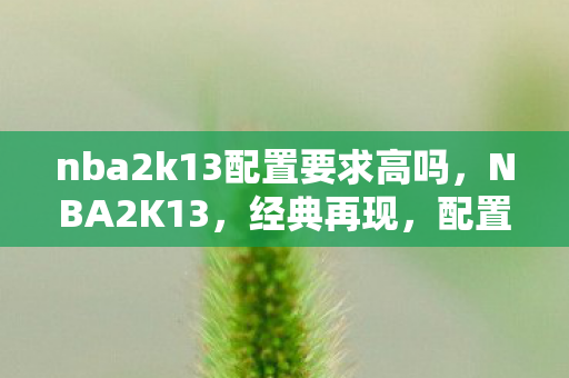 nba2k13配置要求高吗，NBA2K13，经典再现，配置需求解析