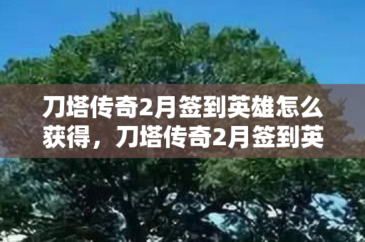 刀塔传奇2月签到英雄怎么获得，刀塔传奇2月签到英雄，新英雄影舞者深度解析
