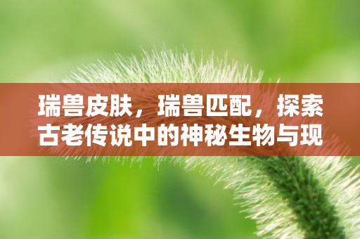 瑞兽皮肤，瑞兽匹配，探索古老传说中的神秘生物与现代科技的融合