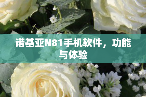 诺基亚N81手机软件，功能与体验