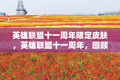 英雄联盟十一周年限定皮肤,英雄联盟十一周年,回顾与展望 英雄联盟十一周年限定皮肤,英雄联盟十一周年,回顾与展望