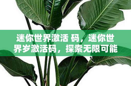 迷你世界激活 码,迷你世界岁激活码,探索无限可能的奇妙之旅 迷你世界激活 码,迷你世界岁激活码,探索无限可能的奇妙之旅